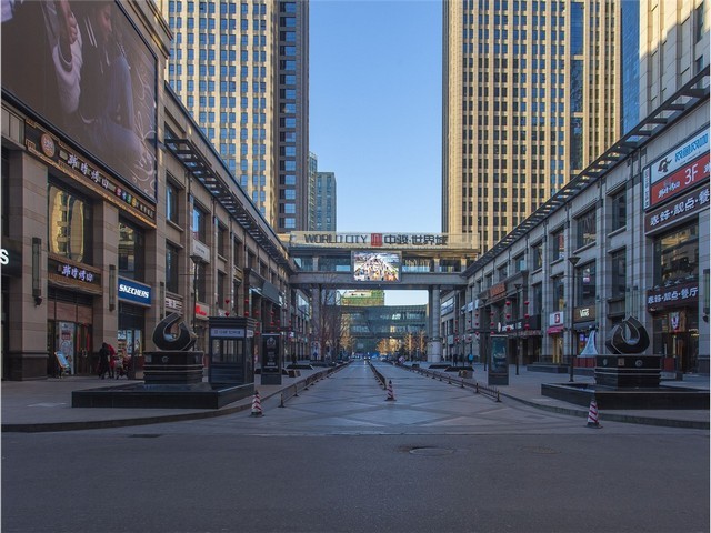 珠海哪里有艺术家服务推荐咨询